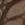 Taupe Swatch