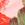PINK PALM Swatch