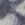 Black Beige Snake Swatch