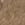 Taupe Swatch