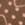 Cognac Swatch