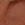 Cognac Swatch