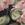 Black/Pink Swatch