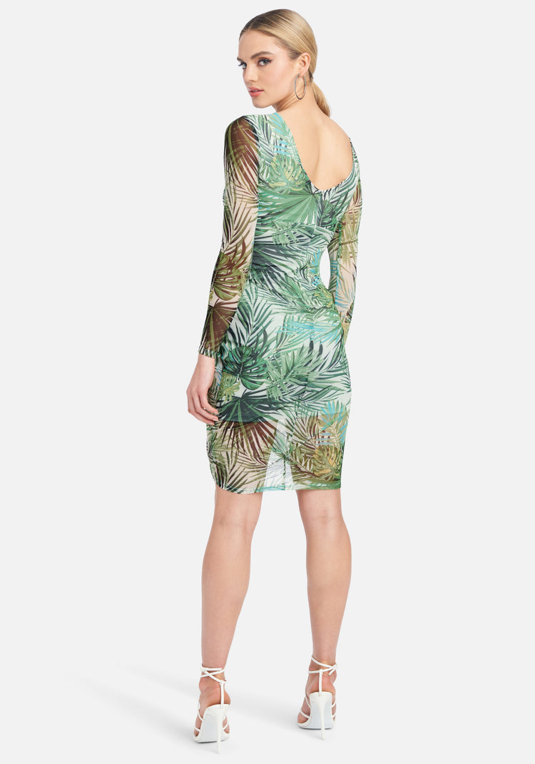 Palm Tree