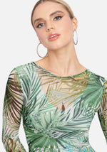Palm Tree