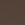 TORTOISE Swatch