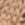 Coffee Swatch