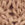 Coffee Swatch