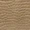 Taupe Swatch