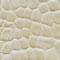 Ivory Swatch
