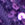 Purple swatch