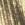 Gold Swatch