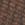 LEOPARD Swatch