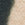 TAN BLACK FABRIC Swatch