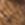 TAN SUDETTE Swatch