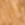 TAN SUDETTE Swatch