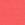 Paradise Swatch