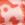 Tiger Leopard Print Swatch