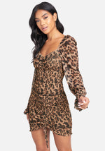 Ombre Leopard