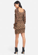 Ombre Leopard
