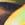 Black/Tropical Neon Print Swatch