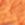 Coral Rose/Nude Swatch
