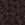 Coffee Bean Swatch