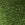 Going Green Swatch