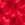 Red Swatch