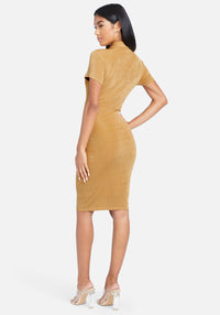 Golden Spice