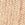 Hazelnut Swatch