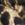 DITZY CHEETAH Swatch
