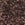 Root Beer Swatch