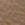 Beige Swatch
