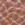 Taupe Swatch
