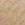 Beige Swatch