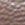 Taupe Swatch