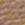 Beige Swatch