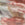 Stemmed Botanical Print Swatch