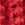 TANGO RED Swatch