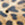 Animal Swatch
