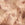 Frappuccino Swatch