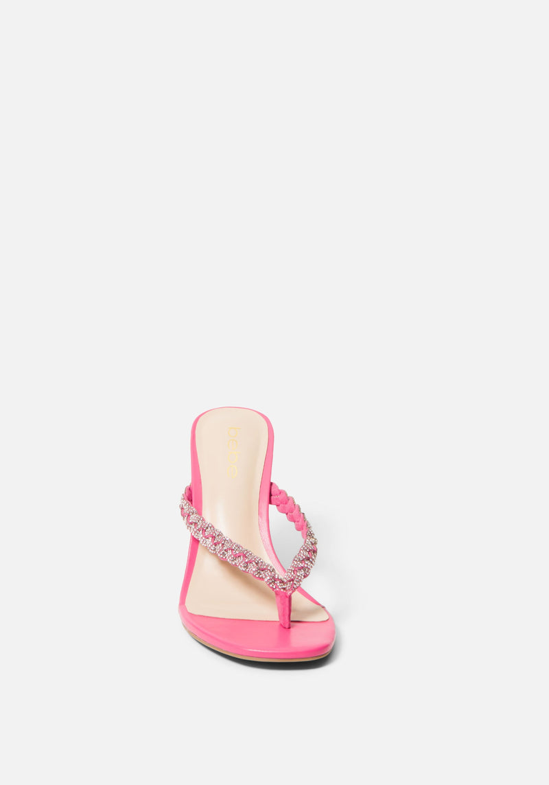 Fuchsia Sudette