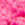 Fuchsia Swatch