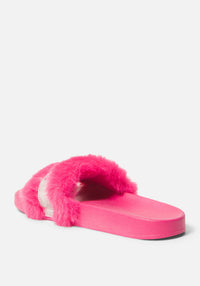 Fuchsia
