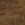 Jungle Nat Swatch