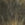 Tiger Leopard Swatch