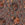 Brown Swatch