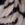 Black/White Swatch