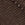 Coffee Bean Swatch